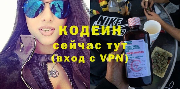 прущие крисы Каменка